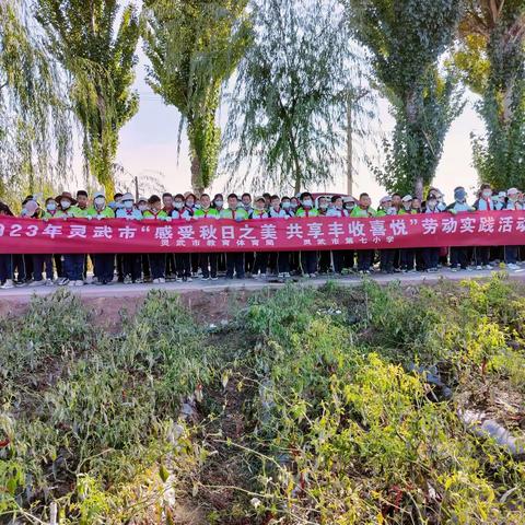 【七彩🌈教学】感受秋日之美  共享丰收喜悦——灵武市第七小学劳动实践活动