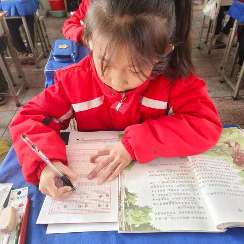 王桥小学2024.12.11工作动态