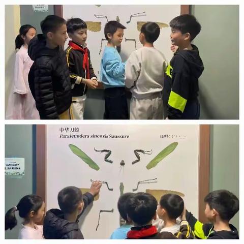 探索角落课程简报