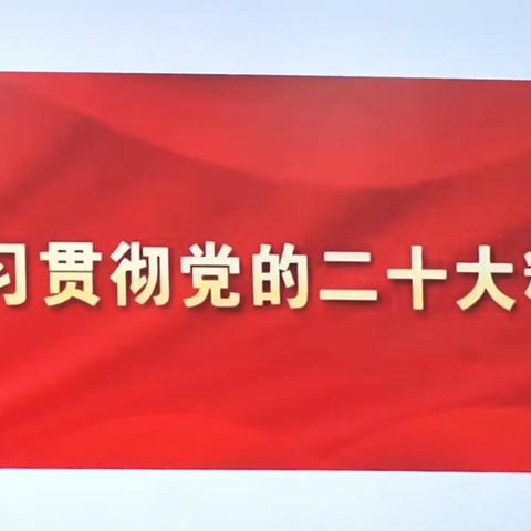 学习党的二十大精神，争做新时代好教师