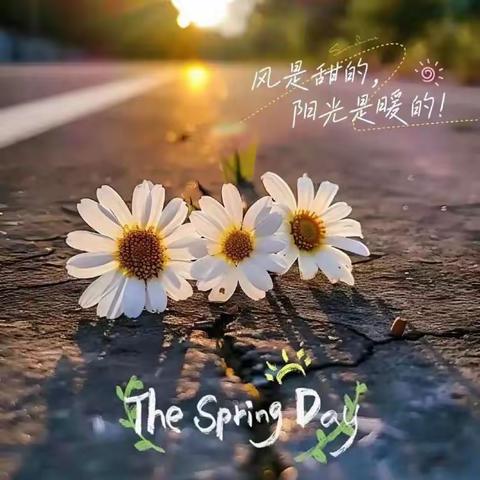 昆明民祥家园物业服务有限公司 鑫世界物业服务中心2024年4月第四周工作汇报