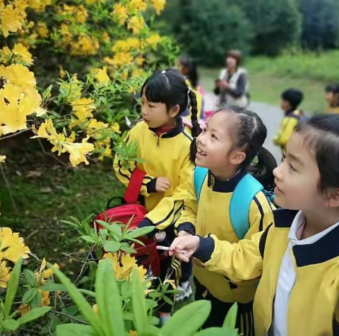 【他山之石】研学政策｜研学旅行将纳入中小学教育教学计划