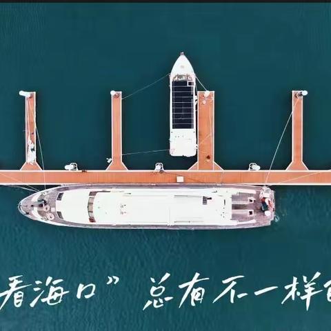 【协会动态】海南自贸港研学沙龙第一期活动——南海明珠海南之星游船