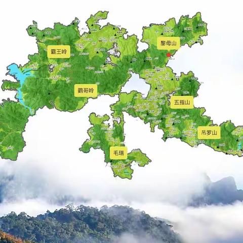【他山之石】特别关注 | 海南省旅游协会研学行业分会开展热带雨林国家公园研学考察活动