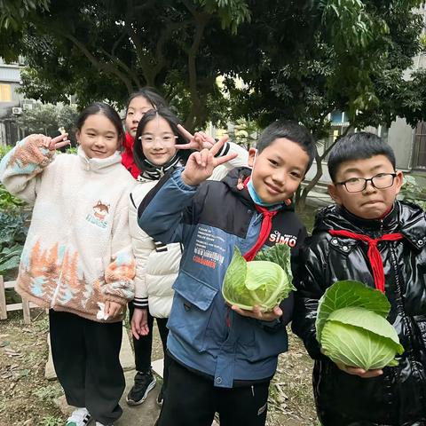 快乐的收获节