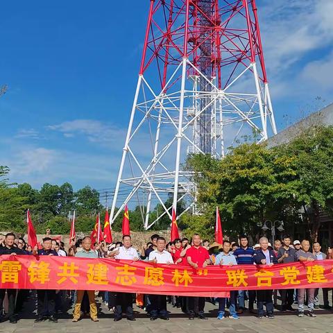 儋州联通联合各单位开展“党建红引领生态绿·学雷锋共建志愿林”联合党建活动