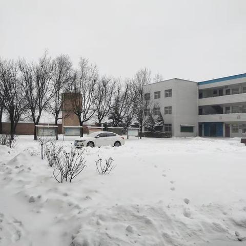 大雪飘飞满校园，全校扫雪暖人心