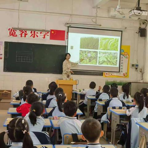 家长进课堂，共育伴成长——记海南师范大学附属小学一年级（6）班第五期“榕学园—豆爸豆妈进课堂活动”