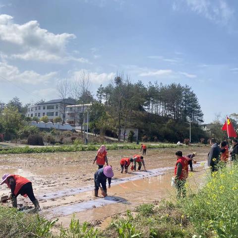 党建引领助春耕 不负农时不负春