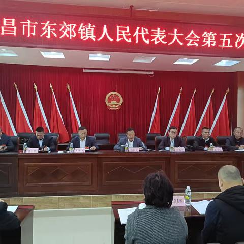 东郊镇第十七届人民代表大会第五次会议顺利召开