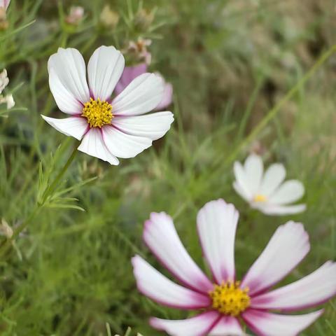 稚子牵衣问：归来何太迟？