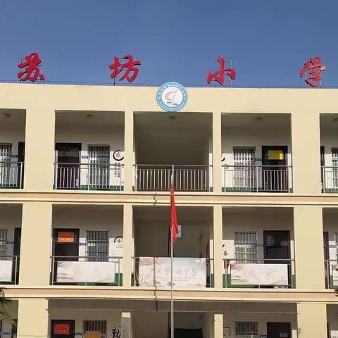 缤纷暑假乐趣多——乾县灵源苏坊小学学生丰富的暑期生活。