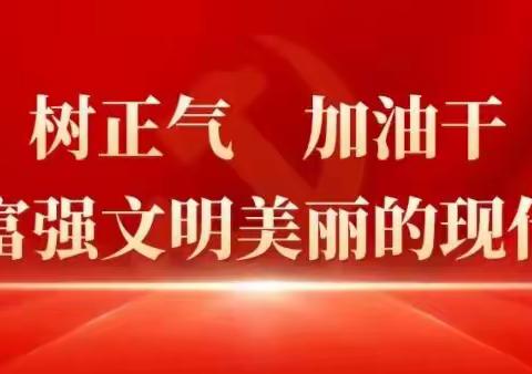 讲武城镇开展八月份主题党日