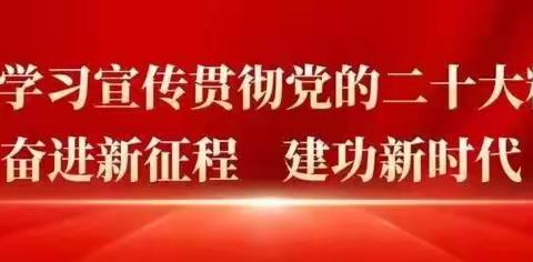 讲武城镇3月份主题党日活动