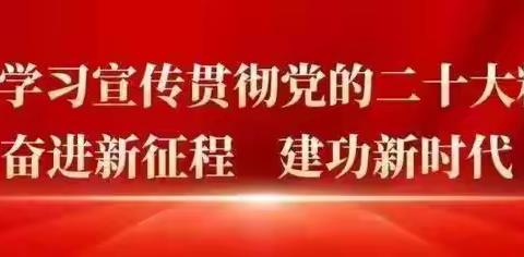 讲武城镇7月份主题党日活动