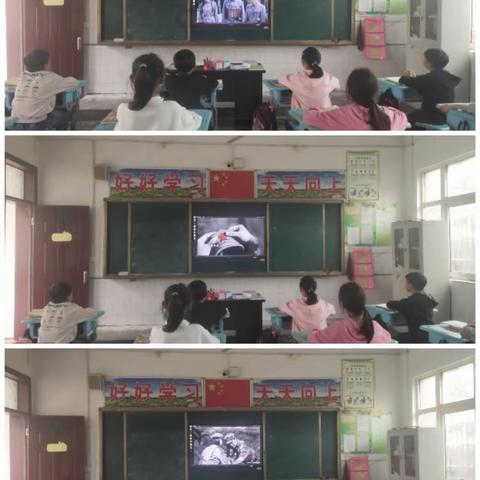 童心向祖国，共抒爱国情——坡胡镇营张小学孩子们在行动。