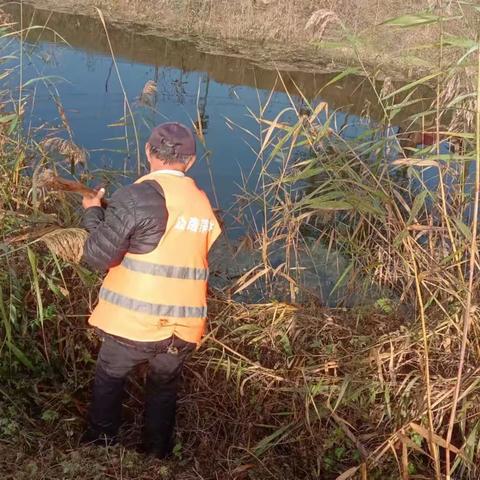 【北峰镇】堤清水净   巡河护河工作在路上