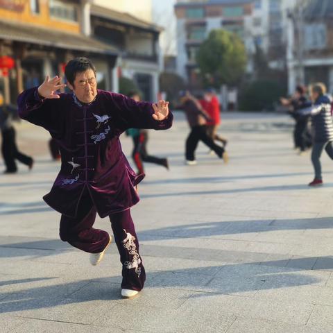 专业指导赋能文化传承——建德太极备战陈家沟太极文化交流之旅