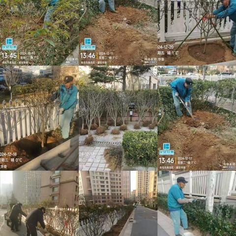 盛世华章物业12月份简报