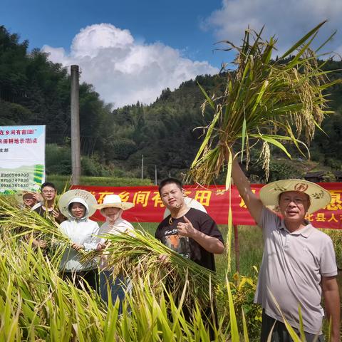 中共宁化县人社局党支部开展“我在乡间有亩田”主题党日活动