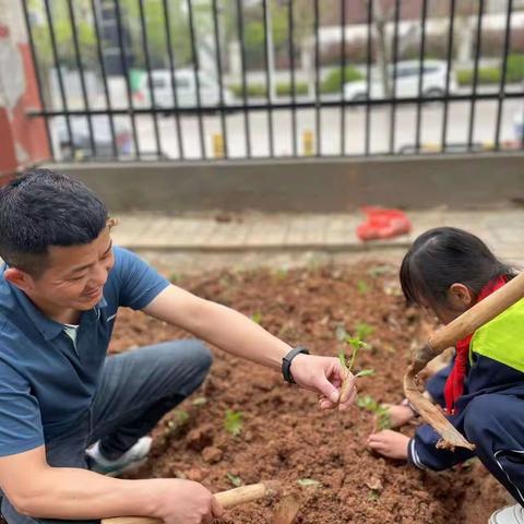 当春乃发生  种植正当时——瑞昌市第七小学劳动基地活动纪实