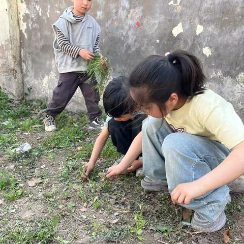 孔楼小学“五一劳动节”美篇