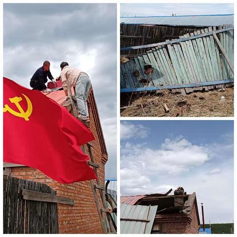 森林经营管理处扎实推进“我为群众办实事”