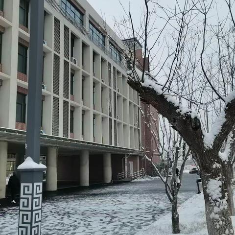 【实初李营】大雪压青松，青松挺且直——济宁市实验初中李营校区初四八班班级纪事★雪