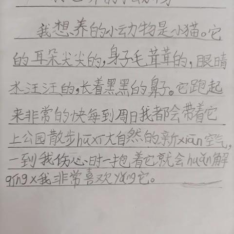 我想养小动物