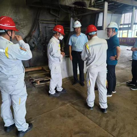 三门峡市应急局督导检查国投金城冶金有限公司安全生产工作