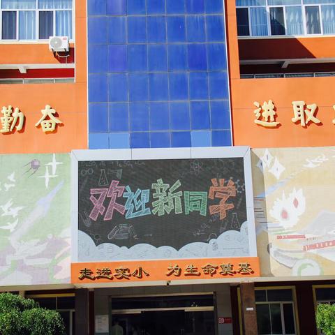 与你相遇，一见倾“新”——龙口市实验小学2023级新生报到