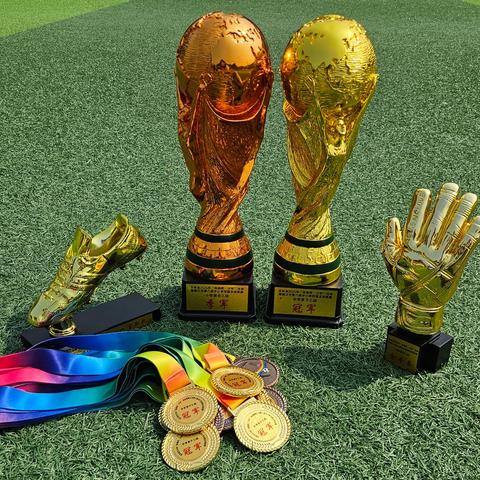 喜 报 临江市第五中学 四道沟镇中心小学 足球赛场展锋芒 ﻿ 中学男子乙组夺冠 ﻿小学混合乙组摘季