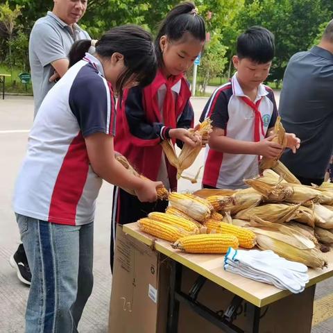 劳动体验促成长  美好生活勤创造——大周镇老冀庄小学参加许昌市中小学劳动技能大赛活动纪实