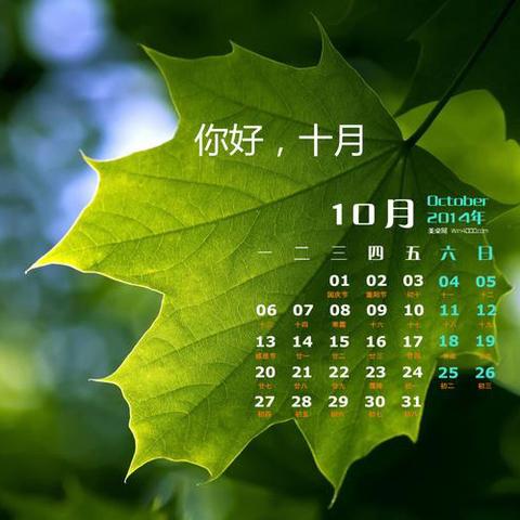 翠湖里物业10月份工作报告