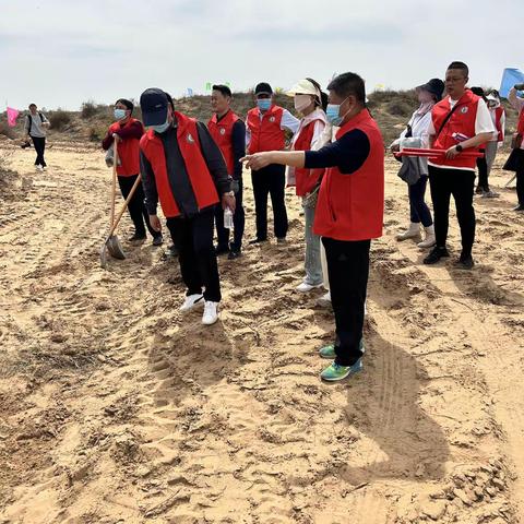 履行植树义务，共建生态定边———定边县城市创建工作服务中心二道梁长城林场义务植树点开展爱绿护绿植树活动