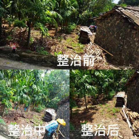龙华区龙桥镇持续开展农村人居环境夏季战役专项行动
