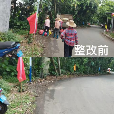 龙华区龙桥镇持续开展农村人居环境夏季战役专项行动