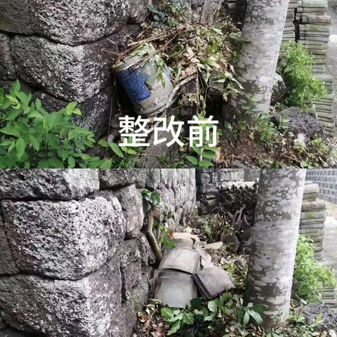 龙华区龙桥镇持续开展农村人居环境夏季战役专项行动