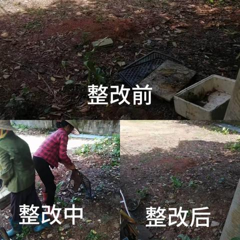 龙华区龙桥镇持续开展农村人居环境夏季战役专项行动