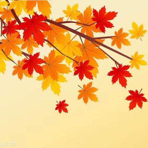 凝聚智慧 奋力前行 ——八年级教师集体备课篇