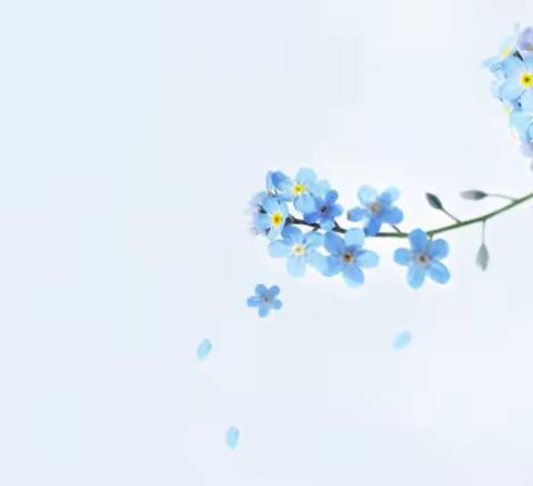 齐心协力 备战期末  ——兰考县兰阳第三中学 八年级集体备课