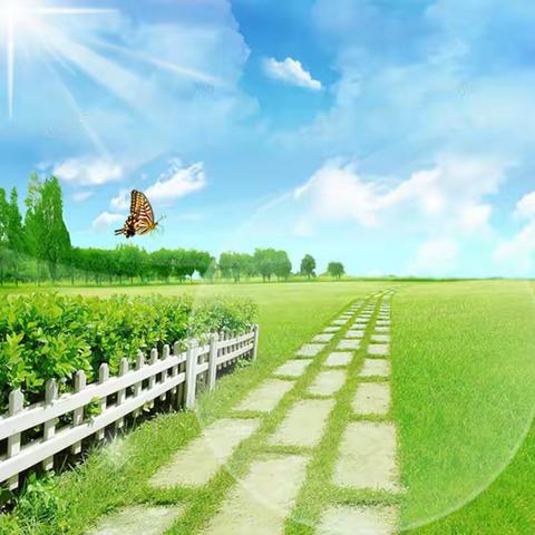 落实双减以人为本 高效课堂提升素养