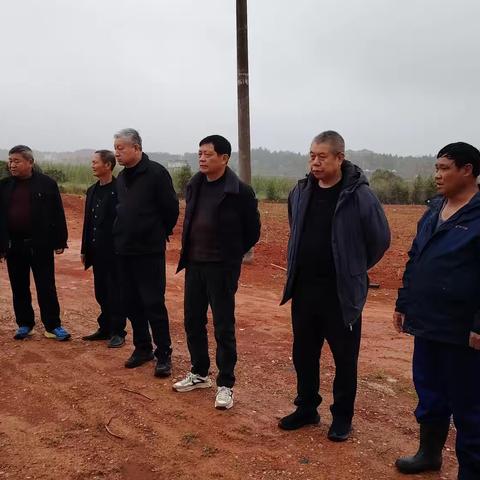 弋阳县老科协林业专委会 ‍深入圭峰镇柑橙柚县级科技服务基地指导工作