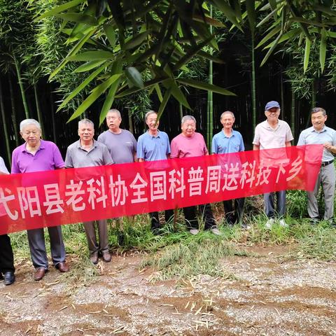 弋阳县老科协林业专委会 ‍深入雷竹基地调研