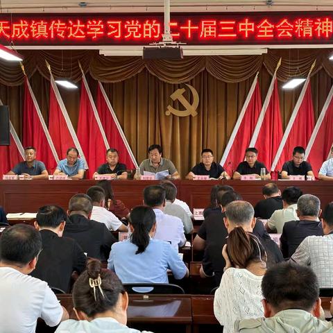 天成镇：传达学习党的二十届三中全会精神