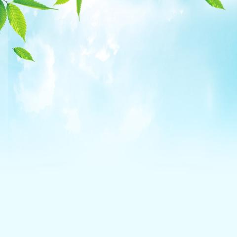 活力飞扬展风采 凝心聚力勇争先 ——石嘴山市分行举办职工气排球比赛