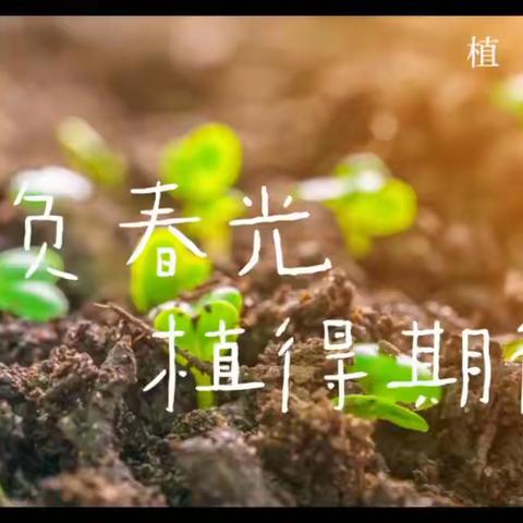 🌷艺林星月幼儿园太阳一班👦🧒 主题课程～《拜访春天》🌿