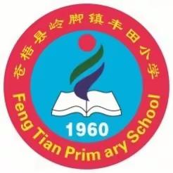 【党建引领】年终回首漫漫长路，锐意进取扬帆再启——苍梧县岭脚镇丰田小学2023年秋学期工作回顾