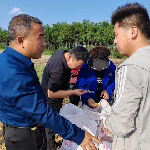 抢抓雨停“空窗期” 平等乡多措并举抢收小麦