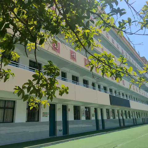 欢迎你，闪光的小孩 | 临江府城学校2025年秋季一年级新生招生公告